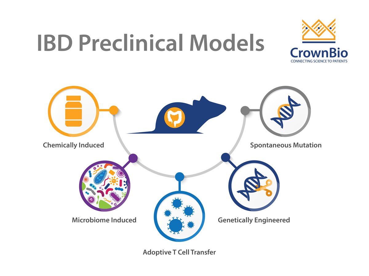 Mouse models of inflammatory bowel disease